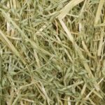 Oat Hay