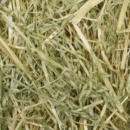 Oat Hay