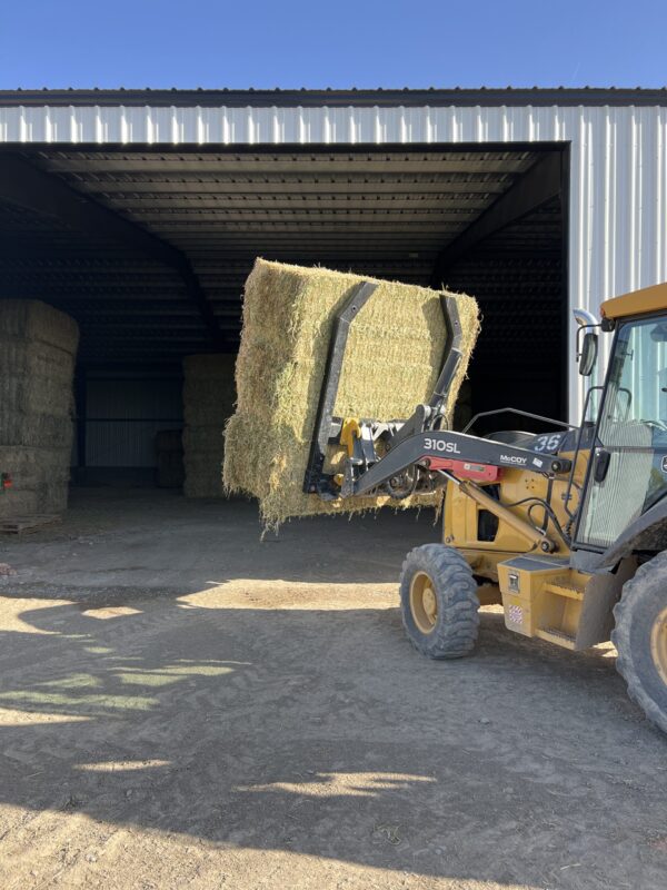 Alfalfa Hay