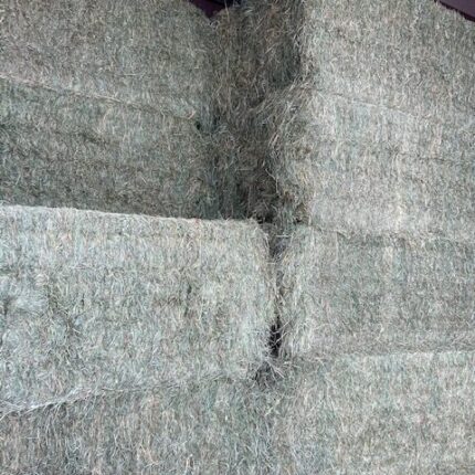 brome grass hay