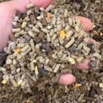 Bulk Cattle Feed, #0314