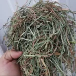 Orchard Grass Mixed Hay