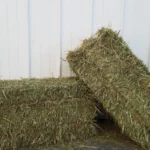 Timothy Alfalfa Mix Hay