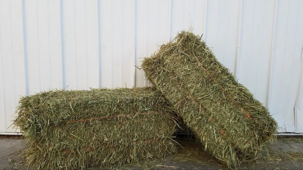 Timothy Alfalfa Mix Hay1 Timothy Alfalfa Mix Hay - Image 1
