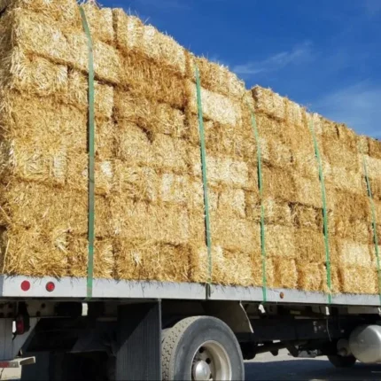 bright straw hay